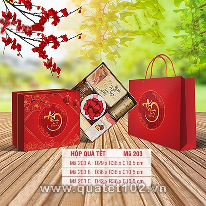 Hộp Quà Tết QT117 - ảnh 4