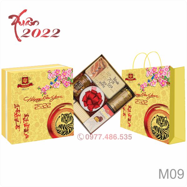 Hộp Quà Tết Thiết Kế TK22003